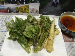 ●自分で揚げた山菜天ぷら.JPG